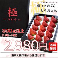 茨城県産 大和田いちご園の極（きわみ）とちおとめ 1箱 300g以上（15粒