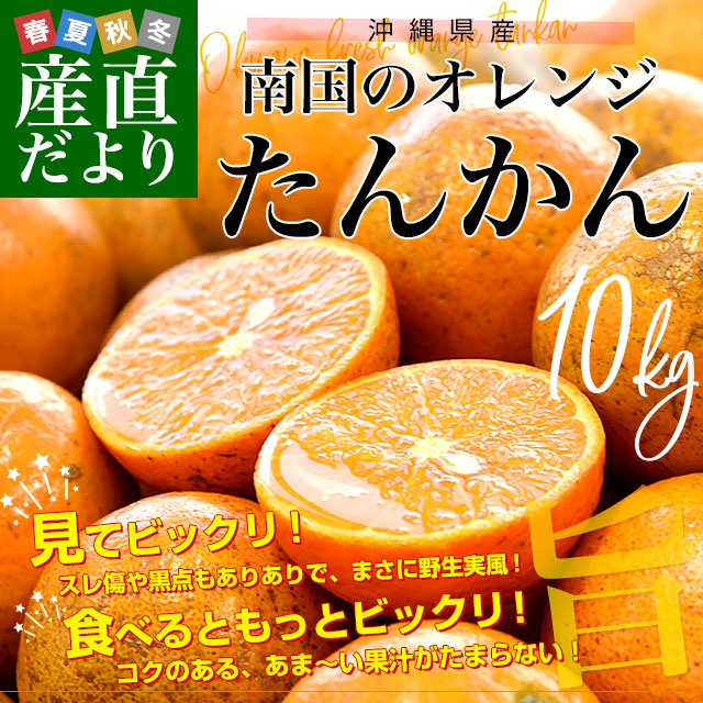 沖縄県産 JAおきなわ たんかん 約10キロ MからSサイズ(80玉から100玉
