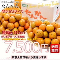 ＪＡおきなわ共撰タンカン優品 約10kg【常温便】③ JAおきなわ共撰タンカン優品 約10kg【常温便】③ 沖縄県産 JA