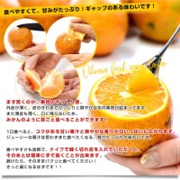 【2000円off】ＪＡおきなわ共撰タンカン優品約10kg【常温12/31① 000000002172_2_R3Rf8sx_thumb.jpg