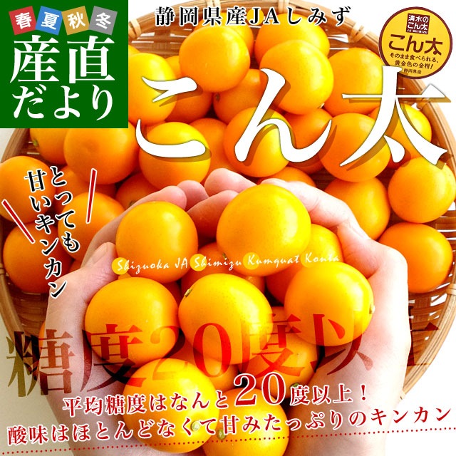 静岡県産 JAしみず こん太きんかん 3Lから2L 秀品 約1キロ 金柑