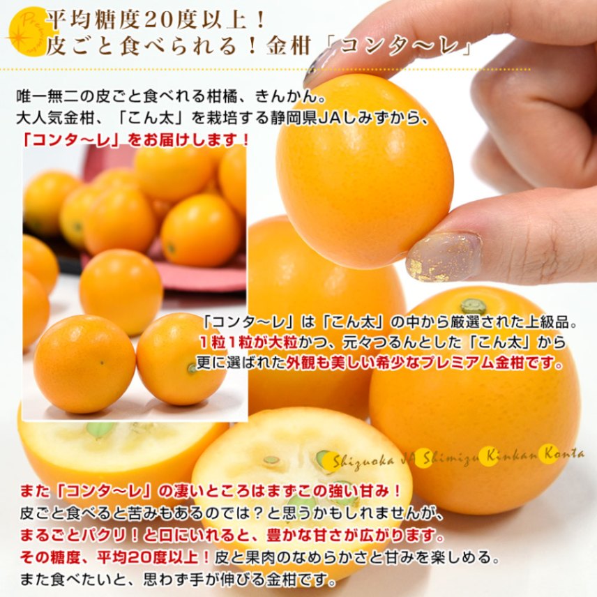 静岡県 JAしみず 金柑「コンターレ」赤秀品 約1キロ 3Lサイズ
