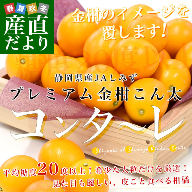 静岡県 JAしみず 金柑「コンターレ」赤秀品 約1キロ 3Lサイズ以上 送料