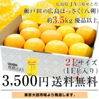 【HKしょうぶえん】広島県/瀬戸田産 はるか 8kg みかん HKしょうぶえん様専用】広島県/瀬戸田産 はるか 8kg みかん 果物