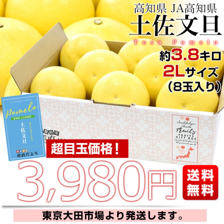 高知県産 JA高知県 土佐文旦 約3.8キロ 2Lサイズ（8玉入り）送料