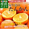 �����縩�� JA��Ҳ��� ������Τ��󤫤� ��2.8���� M����S������ (22�̤���28������) ����̵�� ���� ����� ���󥫥� �Ծ�ȯ��
