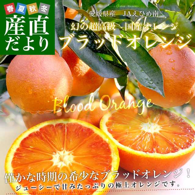 愛媛県より産地直送 JAえひめ南 ブラッドオレンジ 優品 5キロ (30玉