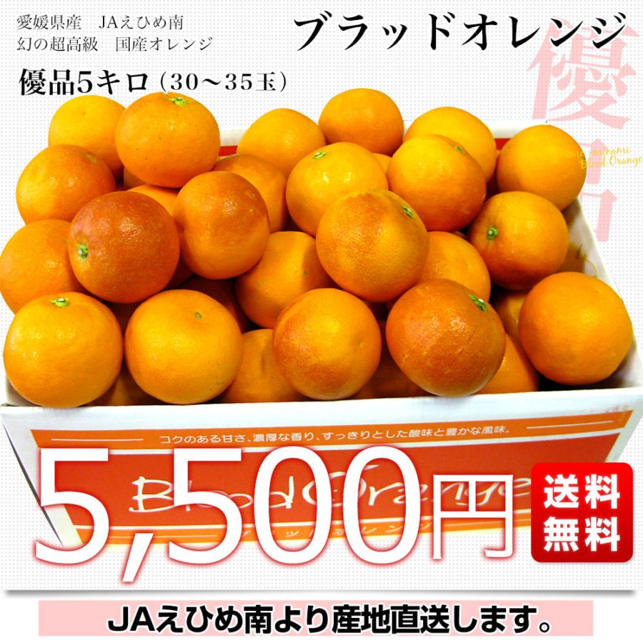 09.せとかLM5キロ＆ブラッドオレンジ5キロ 信越、関東料金 愛媛県より産地直送 JAえひめ南 ブラッドオレンジ 優品 5キロ (30玉