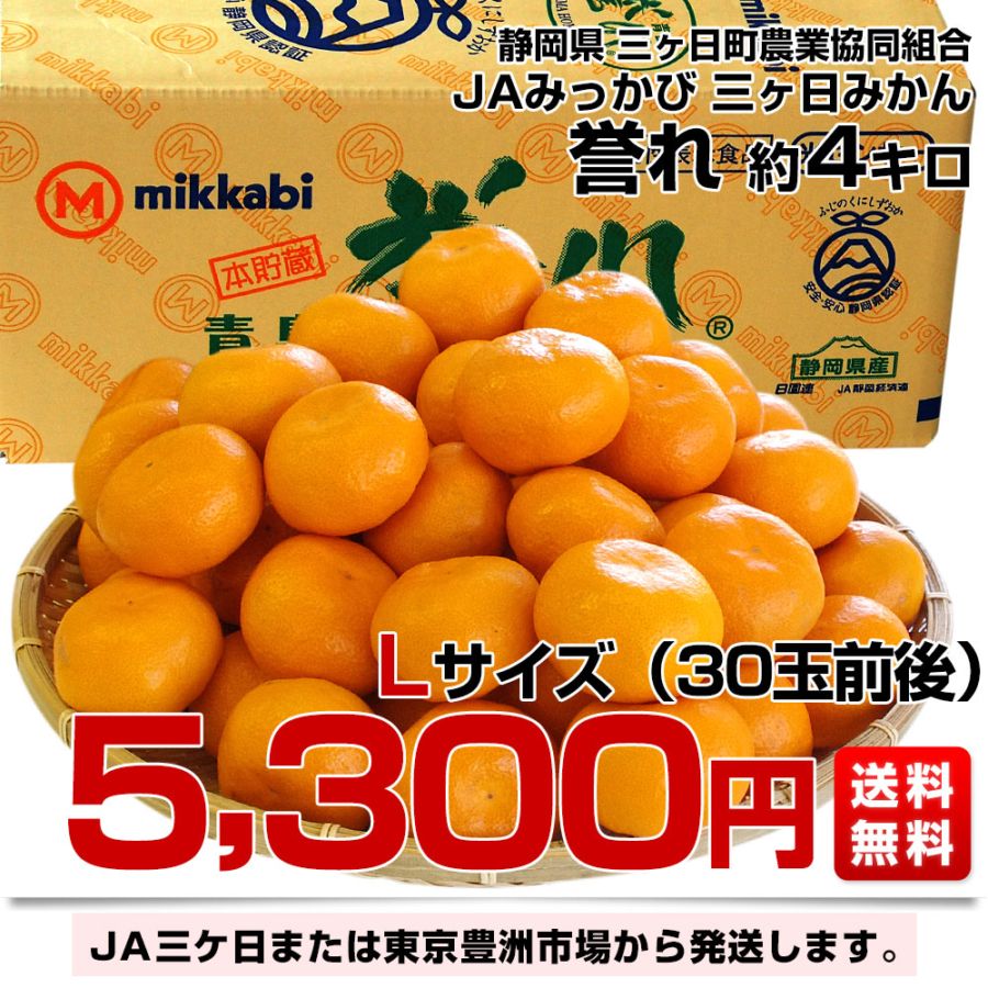 静岡県産 JAみっかび 三ケ日みかん 誉れ Lサイズ 約4キロ ミカン 蜜柑