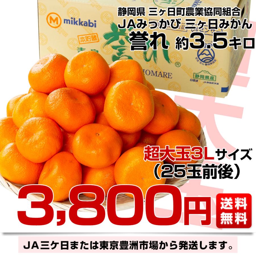 静岡県産 JAみっかび 三ケ日みかん 誉れ 超大玉3Lサイズ 約3.5キロ