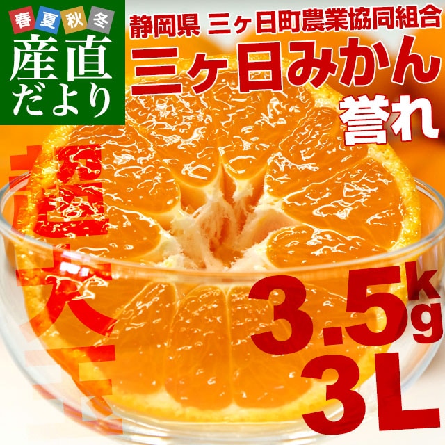 静岡県より産地直送 JAみっかび 三ケ日みかん 誉れ 超大玉3L