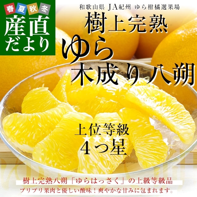 ²λ JA ̾ Ϥä Ȭ 顧4 LL 3 (9̤12) ̵ ͳɤϤä Ȭ Ծȯ