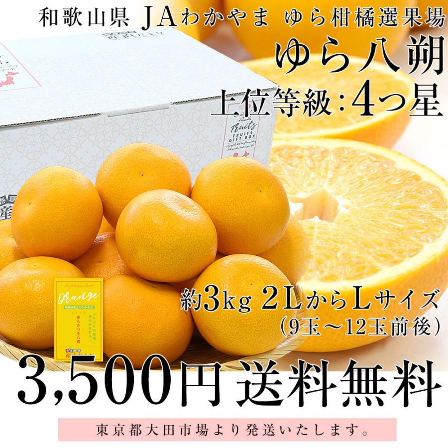和歌山県産 JAわかやま ゆら選果場 ゆら八朔 上級等級：4つ星 2LからL