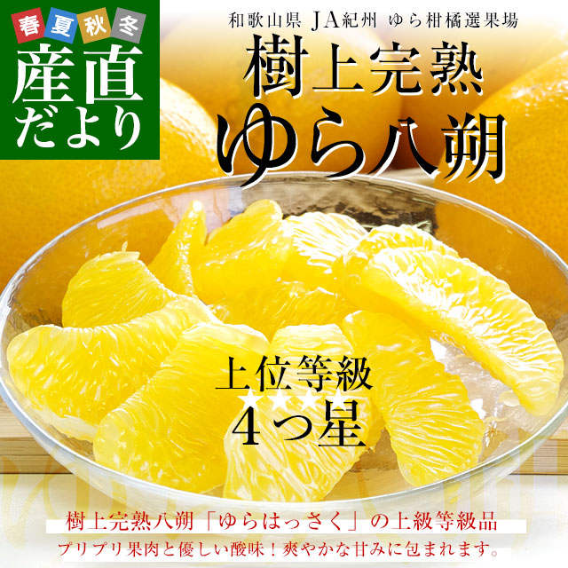 和歌山県産 JAわかやま ゆら選果場 ゆら八朔 上級等級：4つ星 2LからL