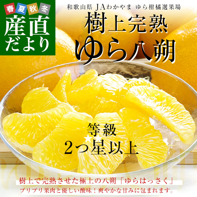 �²λ����� JA�狼��� ������̾� ���Ȭ�� ���顧2���� ��L����L������ ��3���� (9�̤���12��) ����̵�� ͳ�ɤϤä��� �Ծ�ȯ��