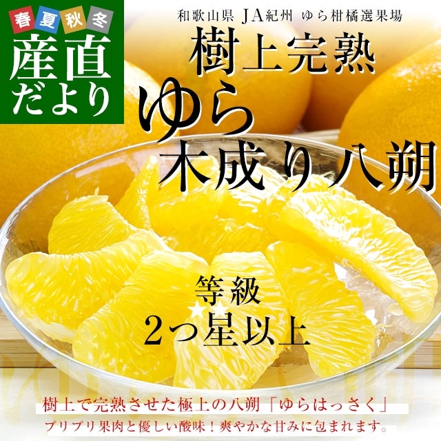 �²λ��� JA���� ������̾� ���Ϥä��� ������Ȭ�� ���顧2�����ʾ� ��L����L������ 3���� (9�̤���12��) ����̵�� ͳ�ɤϤä��� ���Ȭ�� �Ծ�ȯ��