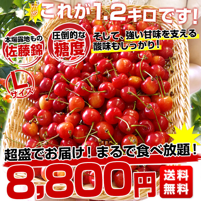 山形県より産地直送 さくらんぼ佐藤錦 大粒Lサイズ たっぷり1.2キロ