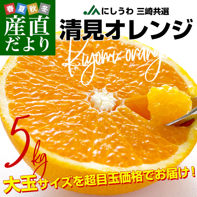 ��ɲ����껺��ľ�� JA�ˤ����� ���궦�� ��������� ��5���� (1���̤���17������) 3L���飴L������ ����̵�� ���� ����� ������