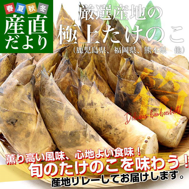 �������Ϥζ˾夿���Τ� ��2������3�ܤ���8�ܡ˼����縩 ���ܸ� ʡ������ ¾���������ء������Υ� �ҽ��� �Ծ�ȯ��������̵��