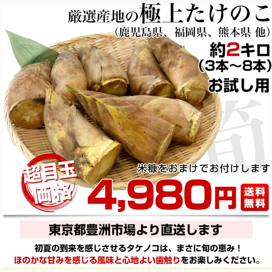 厳選産地の極上たけのこ 約2キロ（3本から8本）鹿児島県 熊本県 福岡県