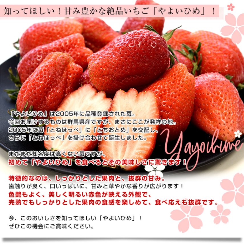 2月11日収穫&発送　今朝採り　群馬県産　いちご　やよいひめ 2月21日 収穫&発送 今朝採り 群馬県産 いちご やよいひめ 果物
