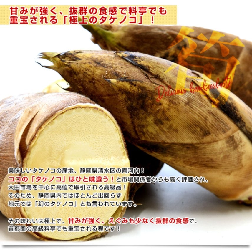 静岡県清水区産 丸共岡崎商店 両河内のたけのこ 約2キロ Mサイズ(8本