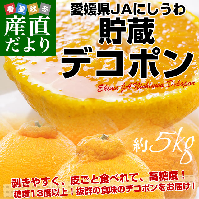 愛媛県 JAにしうわ 貯蔵デコポン 3LからLサイズ 5キロ（18玉から24玉