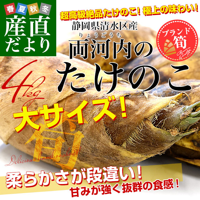 超早掘り筍4キロ