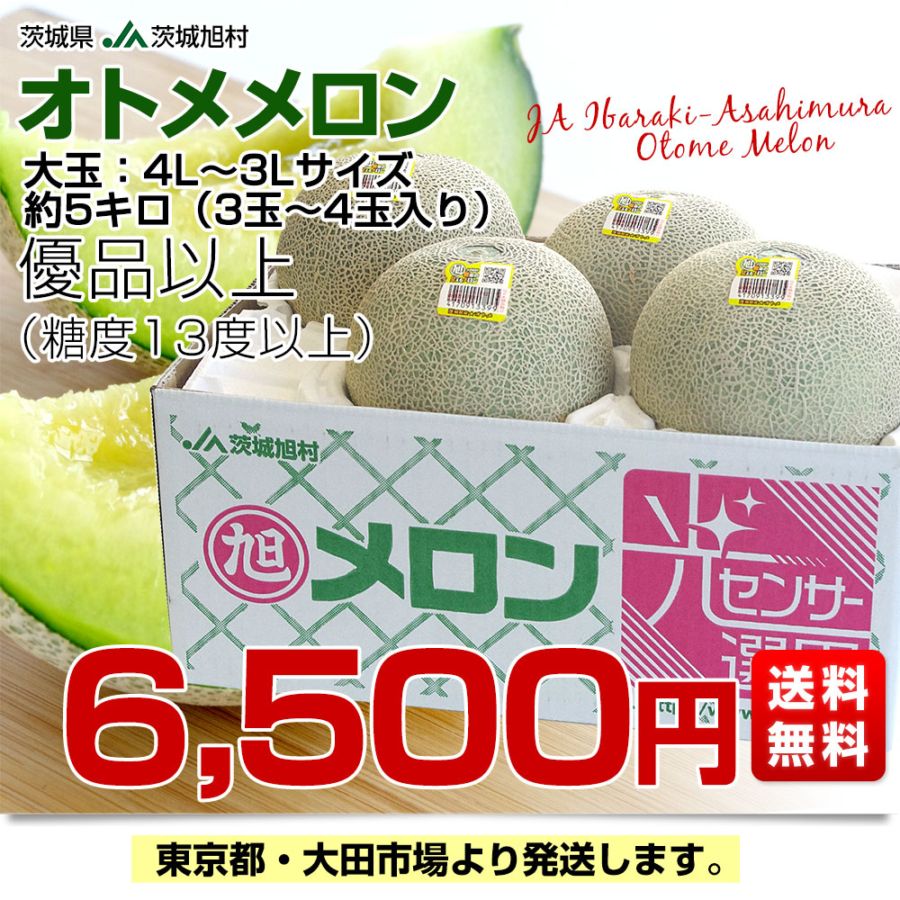 茨城県産 JA茨城旭村 オトメメロン 優品以上4Lから3Lサイズ 約5キロ (3