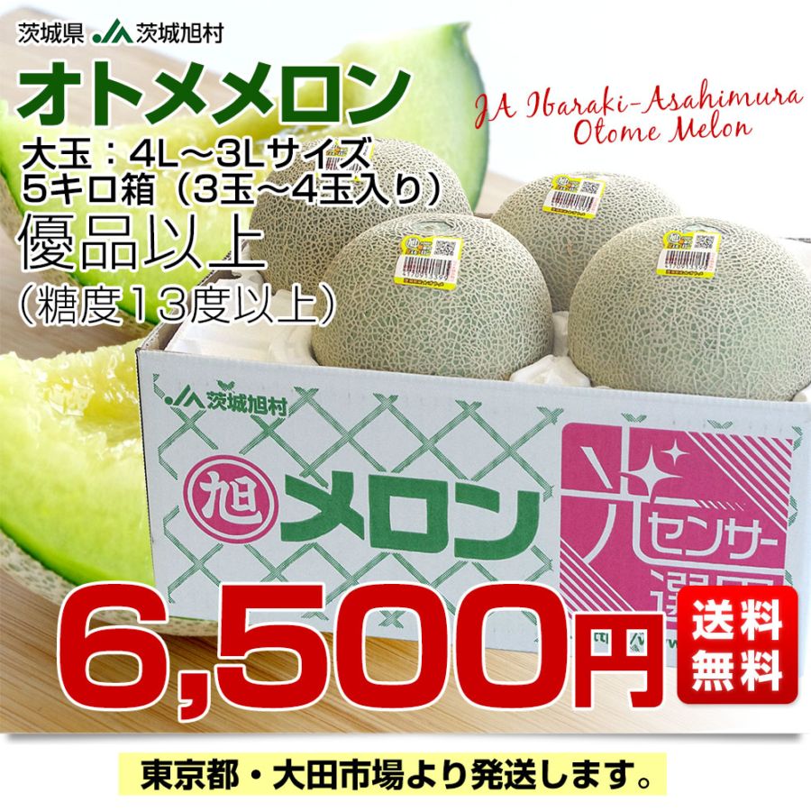 茨城県産 JA茨城旭村 オトメメロン 優品以上4Lから3Lサイズ 5