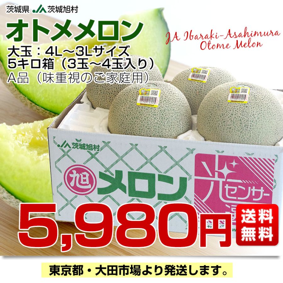 茨城県産 JA茨城旭村 オトメメロン A品 4Lから3Lサイズ 5キロ箱