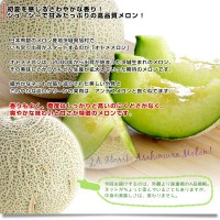 メロンさん専用 楽天市場】サンキュー 100粒 めろん メロン 舐瓜【小林種苗 種