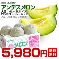 k1  糖度18度以上！茨城県産青肉アンデスメロン『極』3Lサイズ1箱4個入り k1 糖度18度以上！茨城県産青肉アンデスメロン『極』3Lサイズ1箱