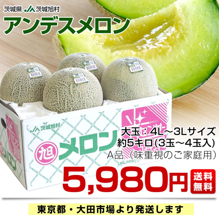茨城県産 JA茨城旭村 アンデスメロン A品 4Lから3Lサイズ 約5キロ (3玉