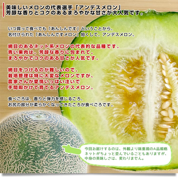 茨城県産 JA茨城旭村 アンデスメロン A品 4Lから3Lサイズ 約5キロ (3玉