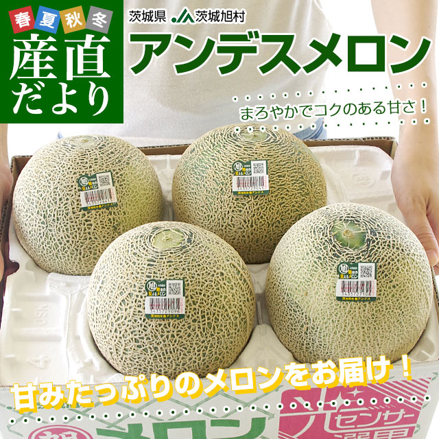 ��븩�� JA��배¼ ����ǥ������ ͥ�ʰʾ� 4L����3L������ ��5���� (3�̤���4��) ����̵�� ����� ����� ���������