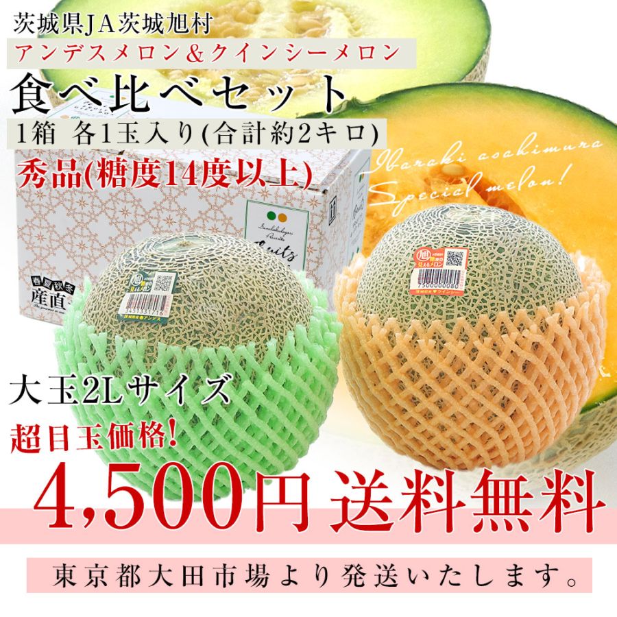 茨城県産 JA茨城旭村 アンデスメロン＆クインシーメロン 秀品 2玉