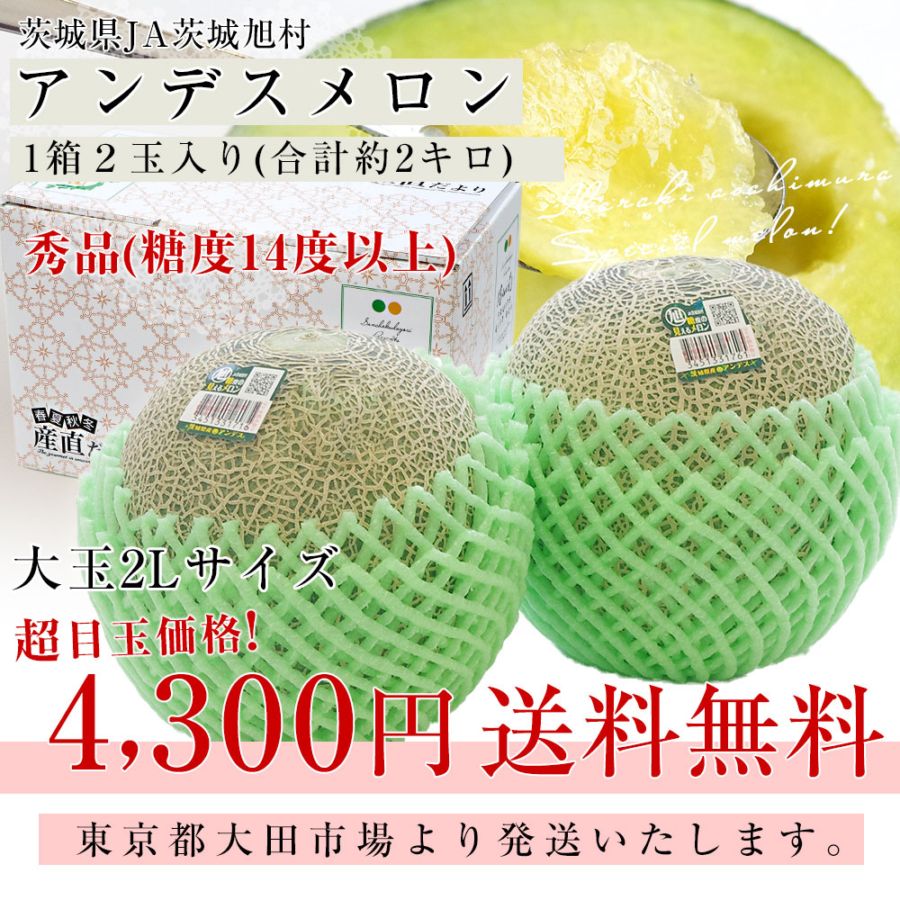 茨城県産 JA茨城旭村 アンデスメロン 秀品 2玉入り (合計約2キロ) 2L