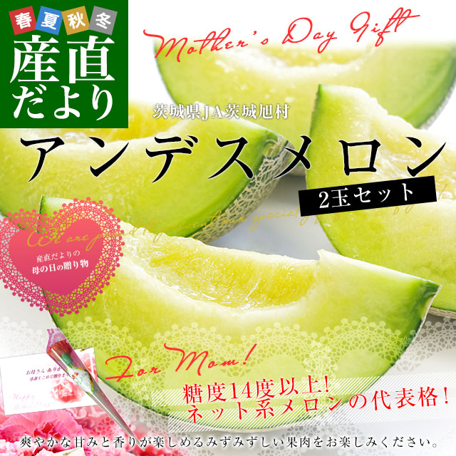 ���٤�Ƥ��������������������ե� ��븩�� JA��배¼ ����ǥ������ ���� 2�̥��å� (�����2����) 2L������ ����̵�� ���� �����