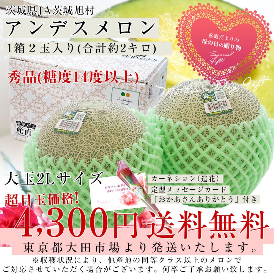 遅れてごめんね 母の日ギフト】茨城県産 JA茨城旭村 アンデスメロン 秀
