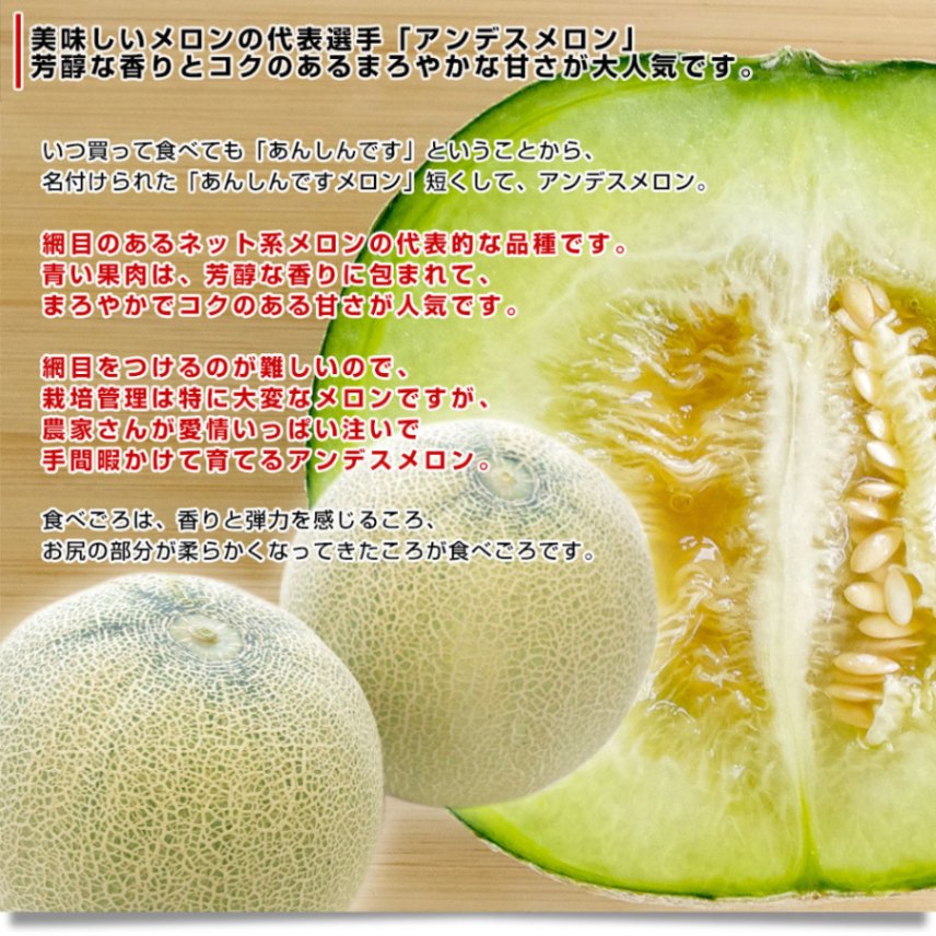 000000002229_2_LInuds4.jpg