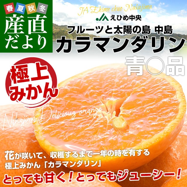 愛媛県産 JAえひめ中央 中島のカラマンダリン 青○品 約2.4キロ（1.2