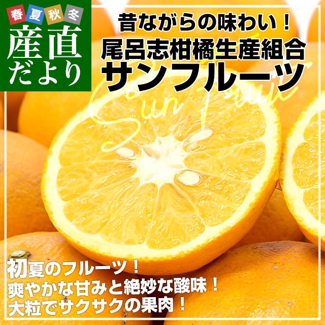 三重県産 尾呂志柑橘生産組合 サンフルーツ 青秀 約4.5キロ Lから3L