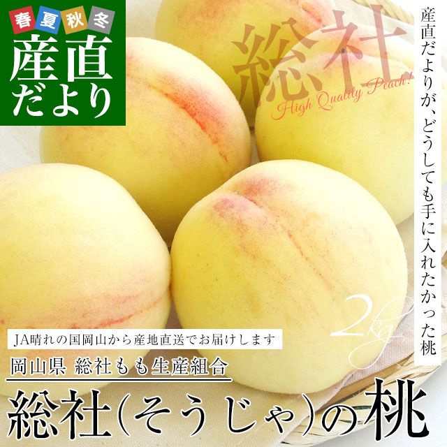 岡山県から産地直送 JA晴れの国岡山 総社もも生産組合 総社(そうじゃ