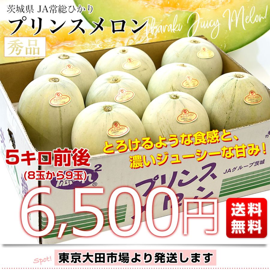 茨城県産 JA常総ひかり プリンスメロン 秀品 5キロ前後(8玉から9玉入り