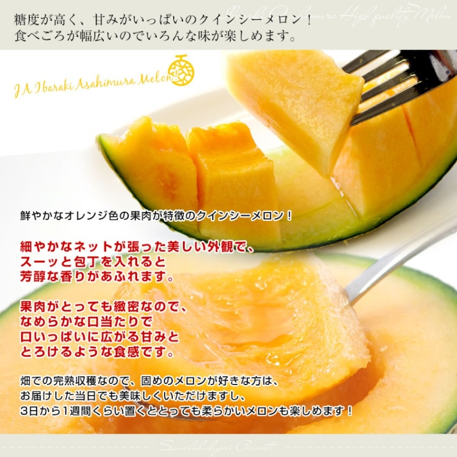 メロン様 先行予約】茨城県産アールスメロン「赤」【秀品】1個【2025年9月