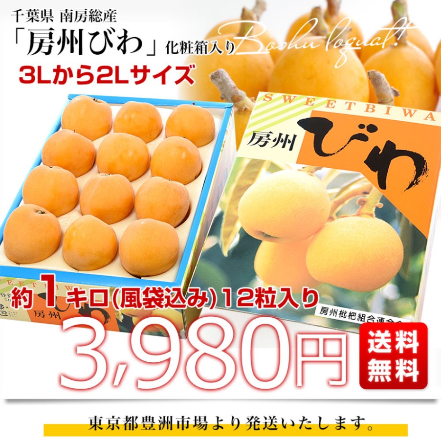 千葉県 南房総産 房州びわ 約1キロ(風袋込み) 12粒入り 3Lから2L 千葉県 南房総産 房州びわ 約1キロ(風袋込み) 12粒入り 3Lから2L