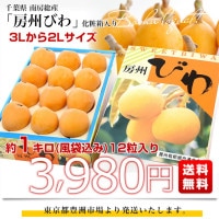 千葉県 南房総産 房州びわ 約1キロ(風袋込み) 12粒入り 3Lから2Lサイズ