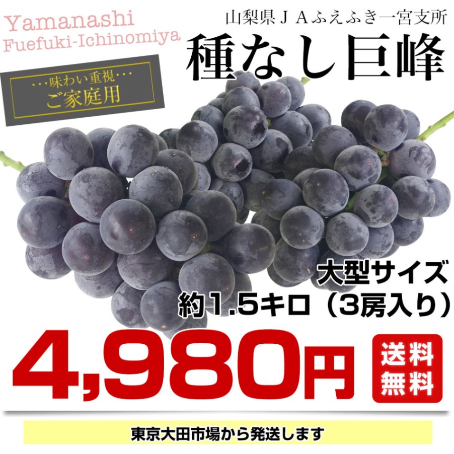 山梨県産JAふえふき一宮支所 ご家庭用に最適！大型サイズ種なし巨峰 約