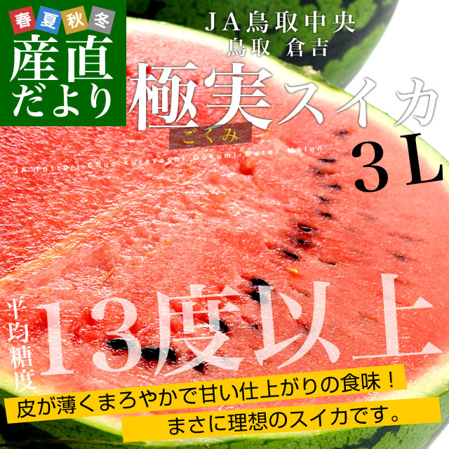 鳥取県産 JA鳥取中央倉吉スイカ 極実（ごくみ） 秀品 3L以上の大玉 7.5